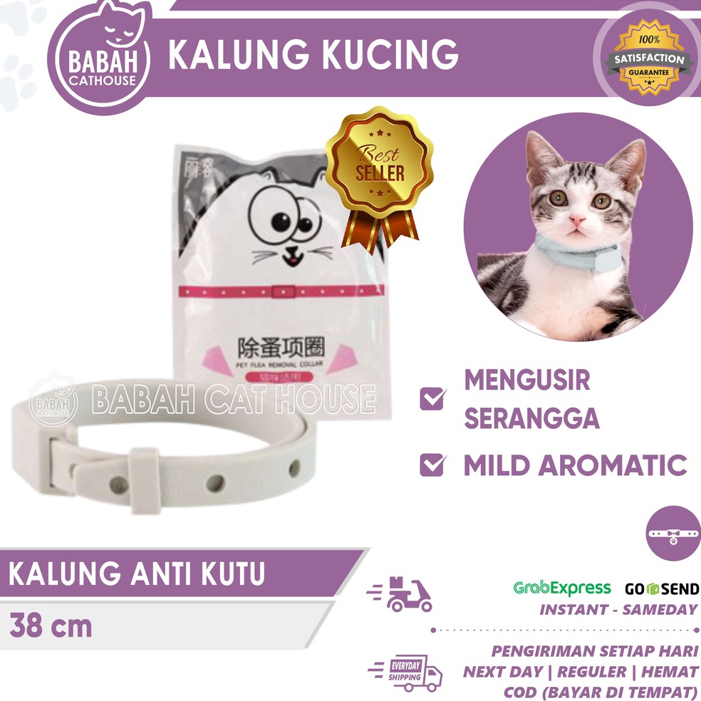 KALUNG PUTIH ANTI KUTU Kucing Anjing Murah Lucu Untuk Kitten Aksesoris Bagus Keren Import Dan Nyamuk