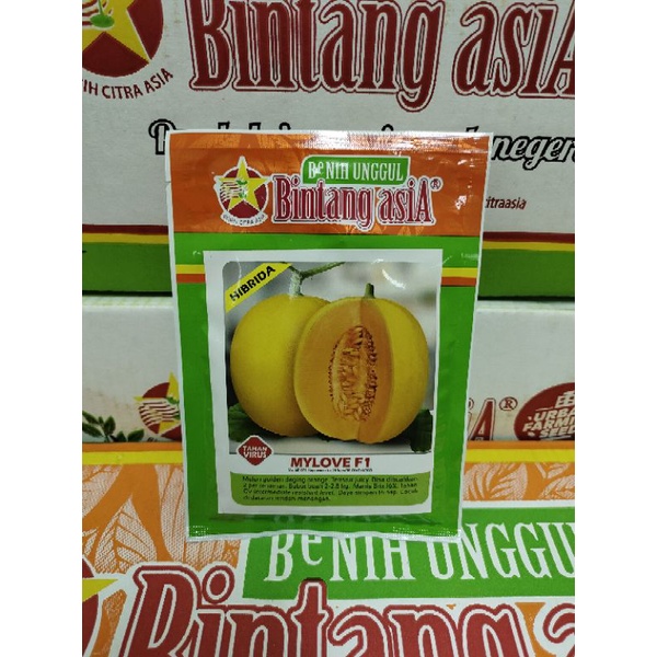 Benih Melon MYLOVE F1 20 Gram Melon golden hibrida Cap Bintang Asia PT Benih Citra Asia Tahan Gemini