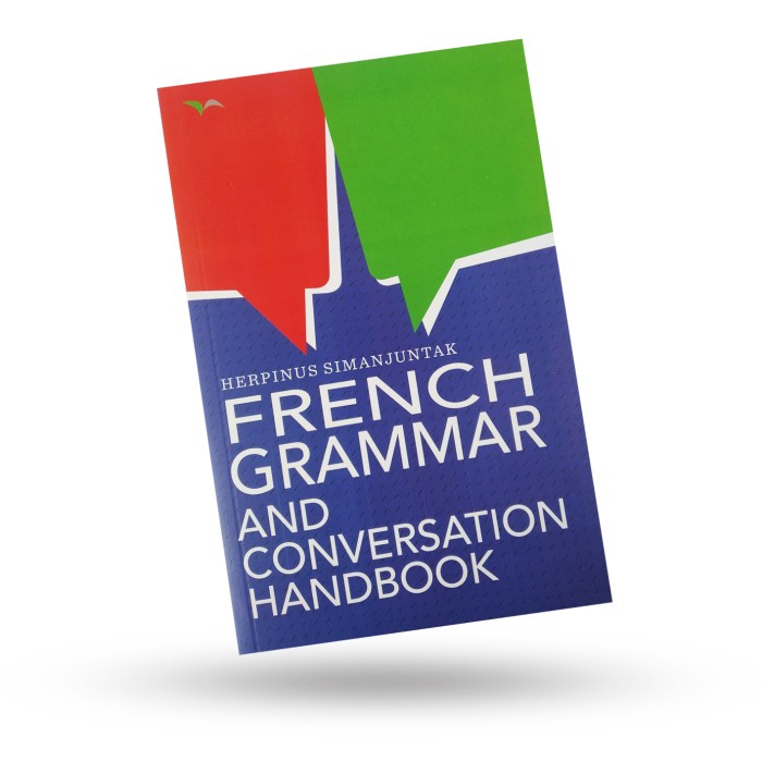 Dicti French Grammar & Conversation Handbook