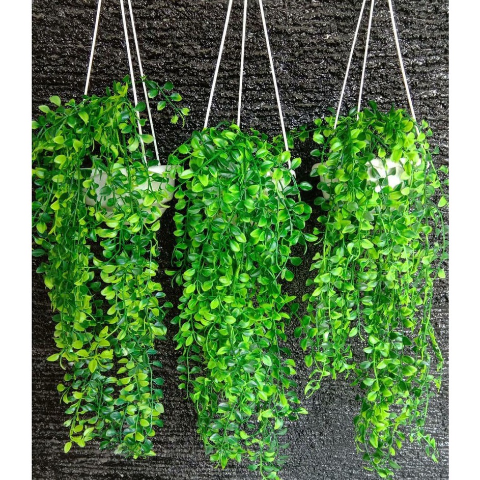 murah BUNGA KEMUNING + POT GANTUNG TALI/ Bunga juntai / daun juntai bahan plastik - daun sulur julur