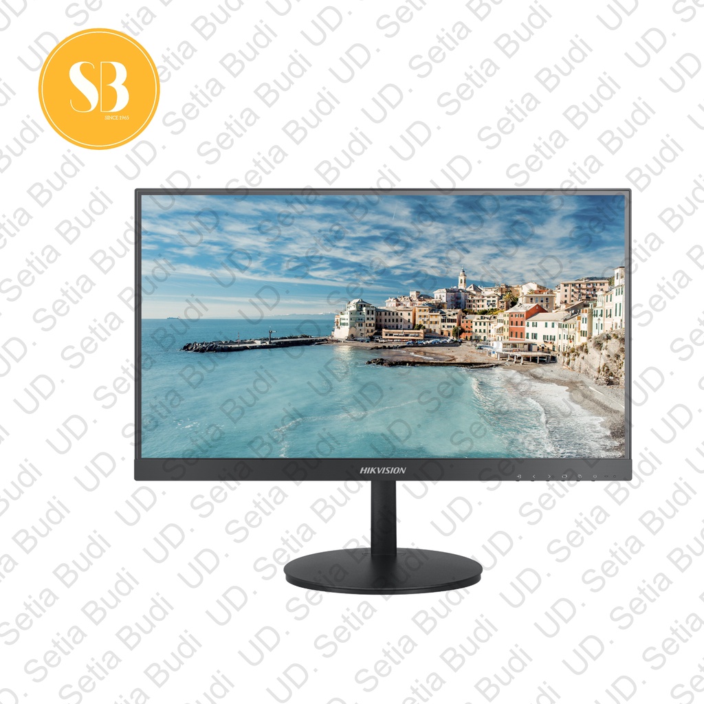 HIKVISION DS-D5022FN-C Monitor 21.5 Inch