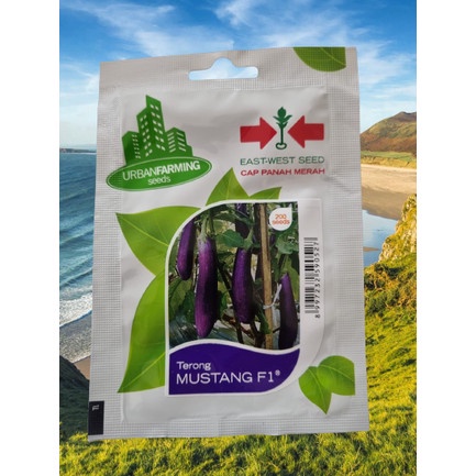 Benih Bibit Biji Terong Terung Panjang Ungu MUSTANG F1 Panah Merah