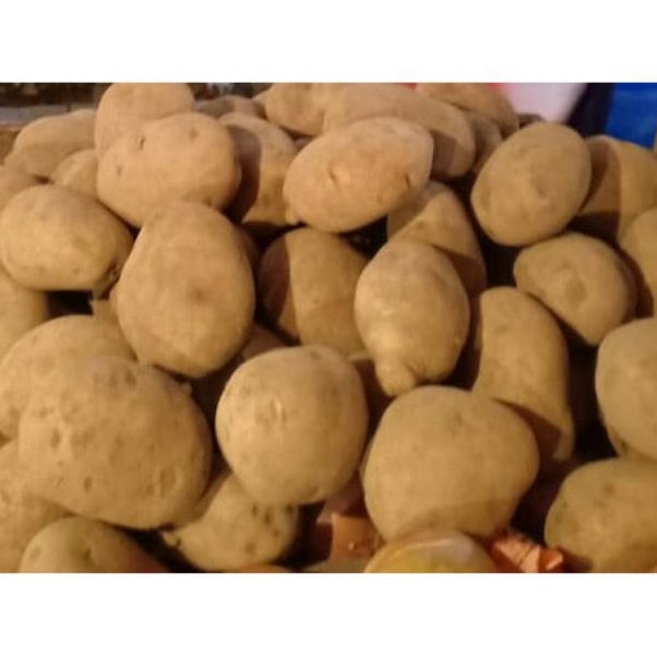 

Big Sale✽➫ PJ7O0 Kentang dieng /500 gram D37 Terlaris