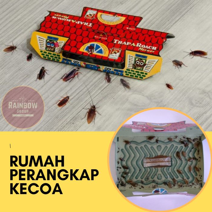 Jebakan Rumah Perangkap Kecoa Mobil Rumah Dapur