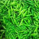 

rawit hijau daerah fress