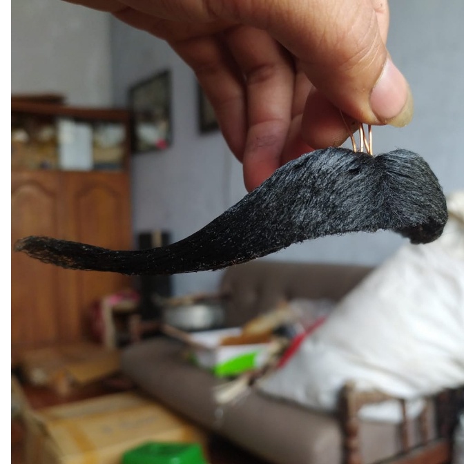 Kirim langsung KUMIS KUDA LUMPING TEMANGGUNG TERBAIK QSA