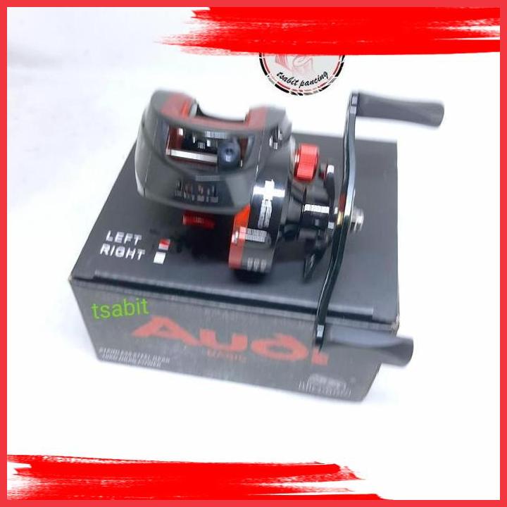 (TSA) REEL LIZARD BC AUDI BASIC RATIO 10