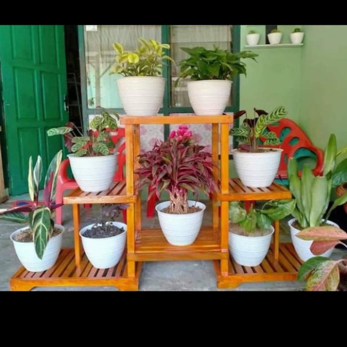 DISKON SPESIAL RAK TANAMAN AGLONEMA TERMURAH/HIASAN KAYU TERLARIS