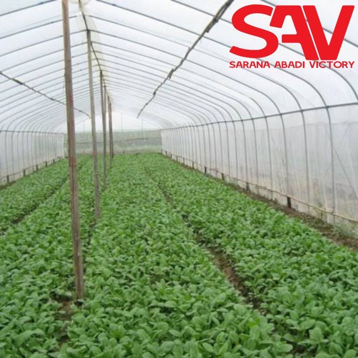 FLASH SALE INSECT NET, JARING TANAMAN, JARING GREEN HOUSE, SAFETY NET MURAH TERLARIS