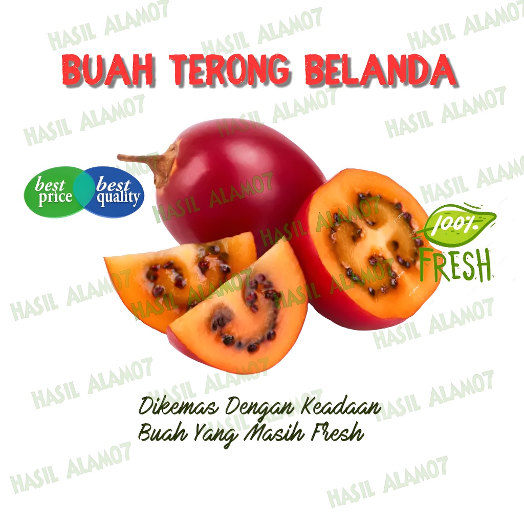 

Terong Belanda Segar Fresh 1kg
