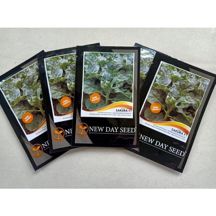 New Benih / Bibit Kailan Hibrida Sakura F1 Nds