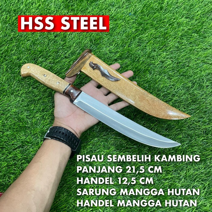 

Bestseller Pisau Sembelih Kambing Baja Hss Bisa Cod