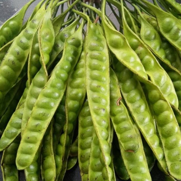 

Dijual ✫ AJCAP .Pete 3 papan 10550 Z53 ✰Best Produk