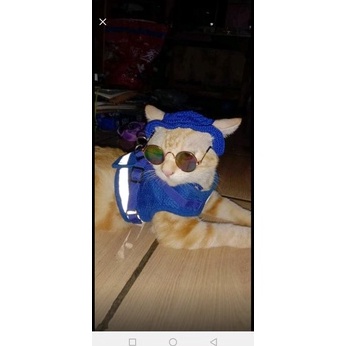 Edisi Mewah TOPI KUCING/BUCKET HAT CROCHET/TOPI KUCING PORORO/TOPI KUCING RAJUT/TOPI ANJING/TOPI ANJ