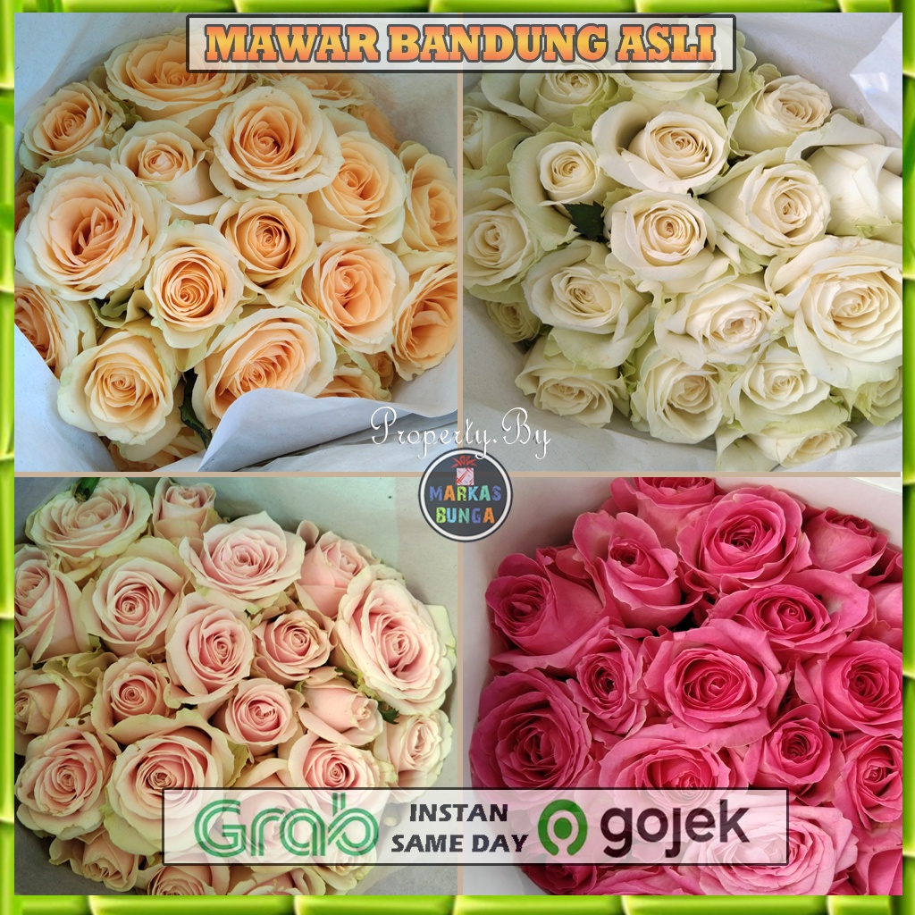 Bunga Mawar Bandung/ Bunga Mawar Fresh / Bunga Mawar Segar