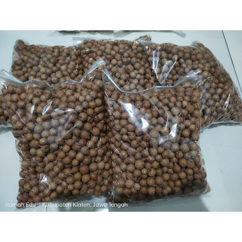 BIJI ROTAN BULAT KILOAN