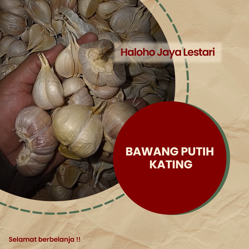 

Harga Termurah BAWANG PUTIH KATING Stok Banyak