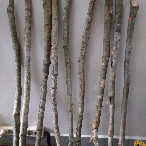 id9q4Pe Kayu kaboa asli sancang garut panjang 5 cm