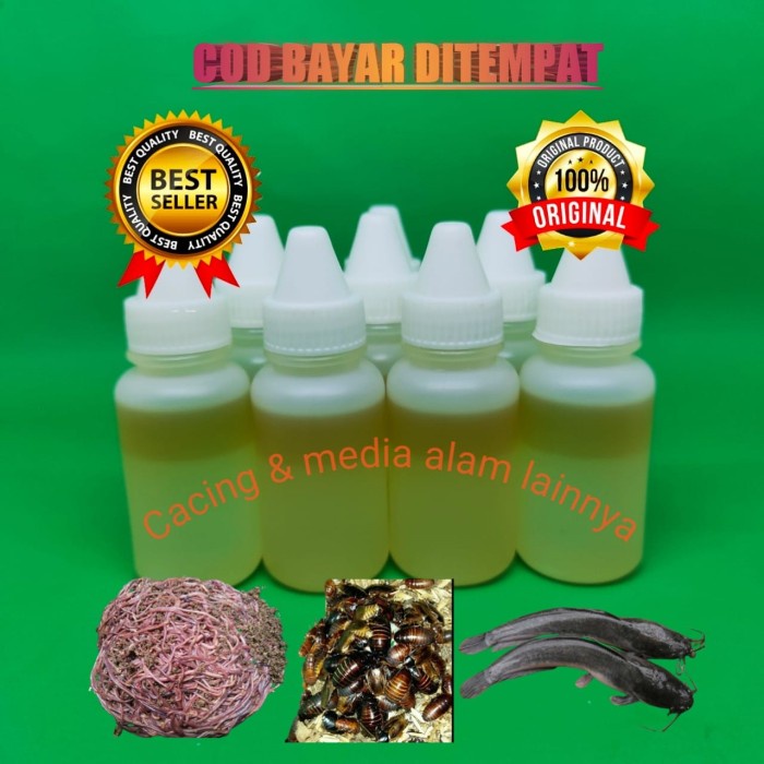 Bestseller Essen Micro Cacing