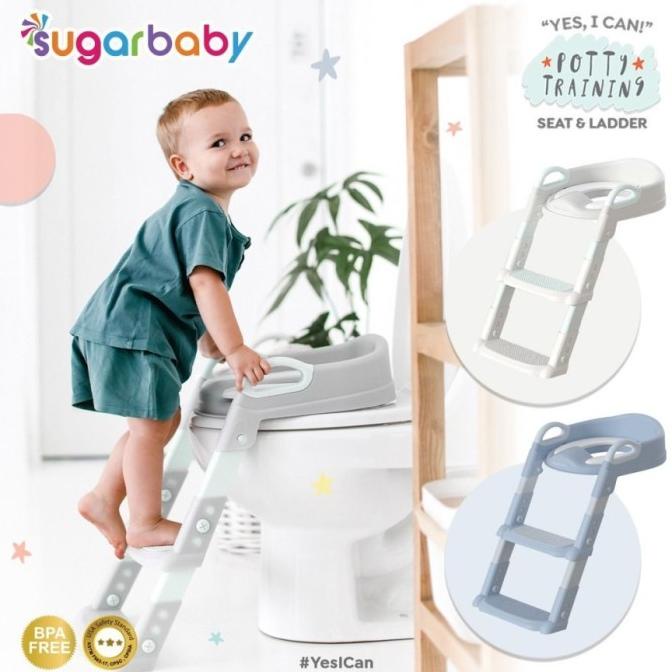 Sugarbaby Potty Training Seat&Ladder / Potty Seat/Toilet Training Anak