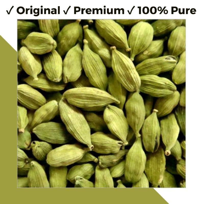 

Kapulaga Hijau Utuh 1 gram Premium Kapulaga India Kapulaga Bumbu Masakan Timur Tengah Murah Berkualitas Merk Cardex Kapulaga Arab