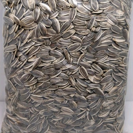 

Paling Dicari.. KWACI BIJI BUNGA MATAHARI KULIT 1 KG ZYD