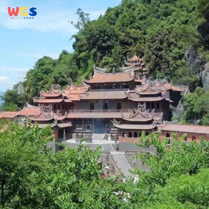 

Meily Chinese Tea Tieguanyin Oolong Tie Guan Yin Tea 125g