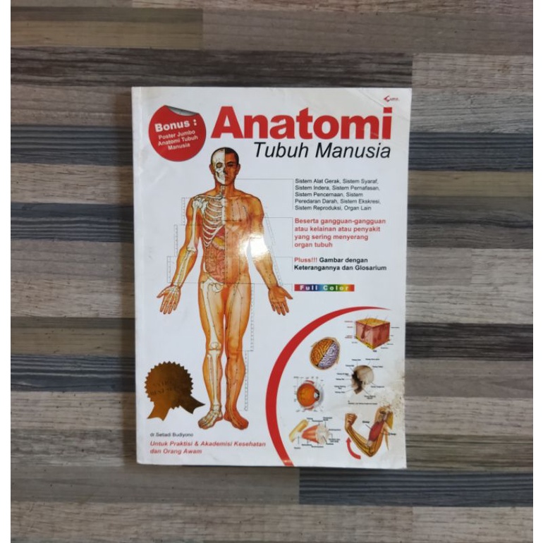 ANATOMI TUBUH MANUSIA