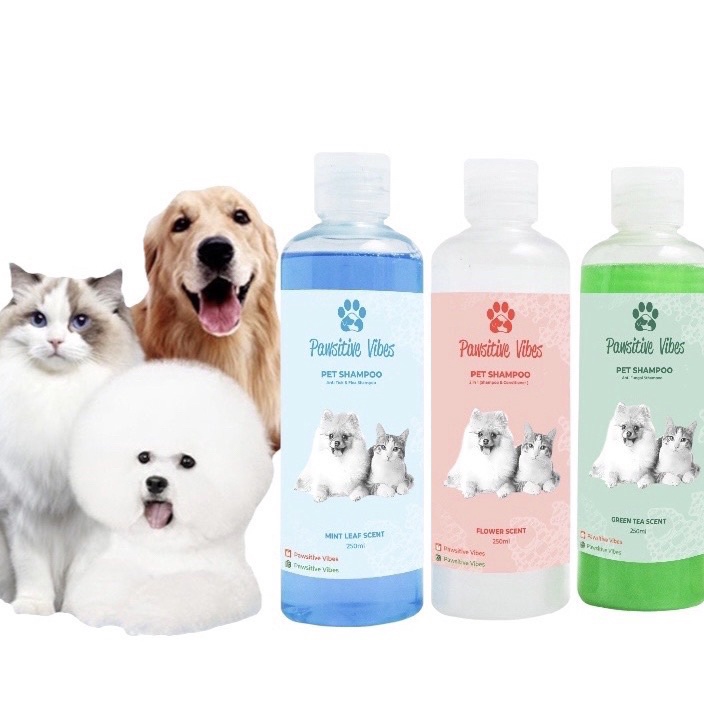 〆 C 10647 Pawsitive vibes Shampo Kucing Anjing Anti fungal & Fleas untuk Jamur, Kutu, Scabies, Paras