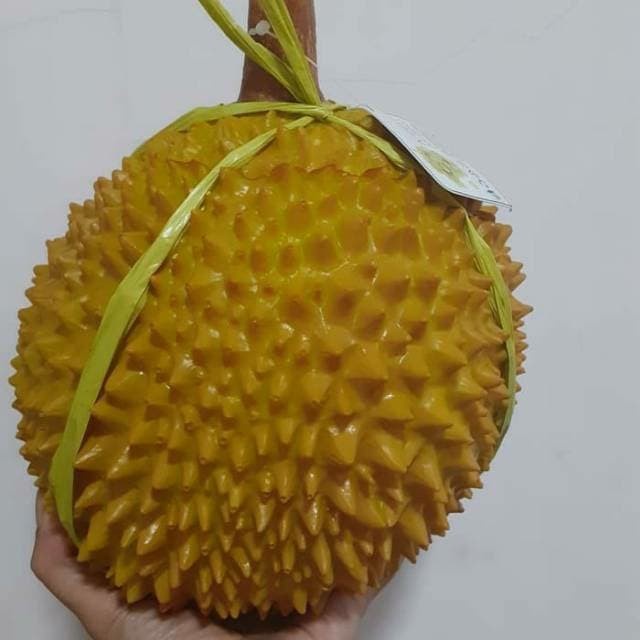 [Plastik] Buah Hias Durian Hias Buah Pajangan Buah Durian Hias Replika Durian [Mini]