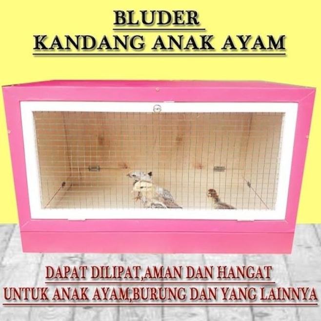 kandang anak ayam inkubator