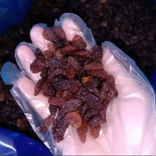 

*:*:*:*:*] SULTANA Raisins / kismish hitam manis 500 gr