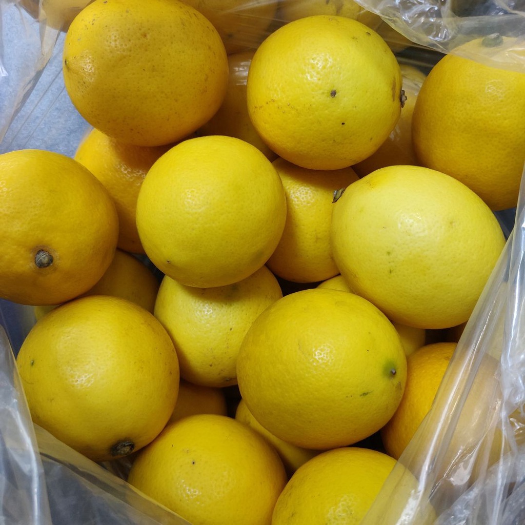 

Lemon California 1kg