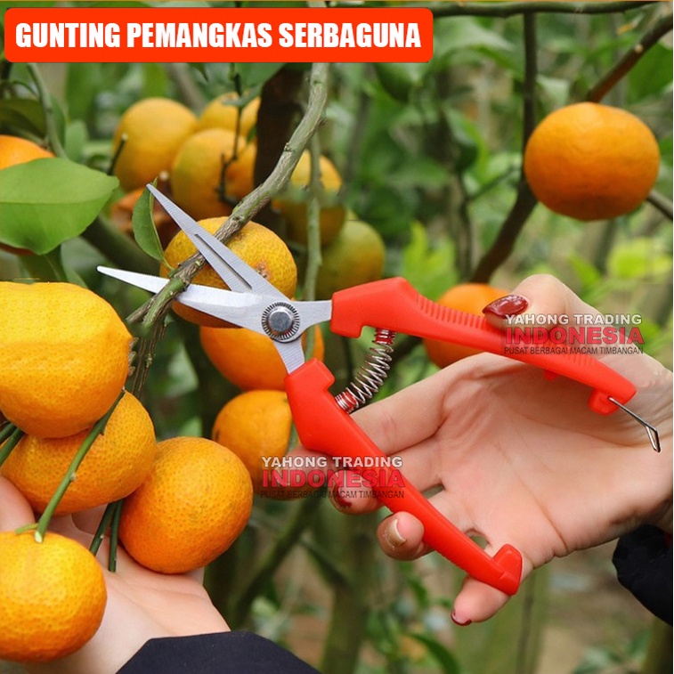 Gunting Pruning Gunting Buah Bonsai Dahan Daun Bunga Kertas Seng Plastik Serbaguna