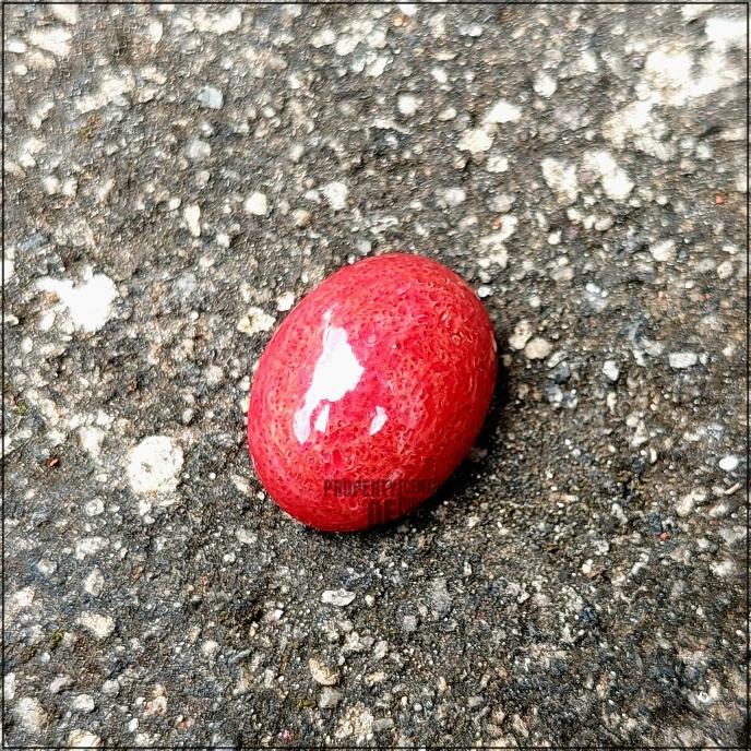 Batu Akik Marjan Natural Red Coral Asli Original