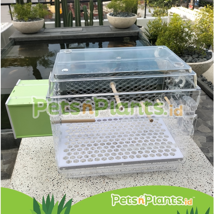 Kandang Burung Akrilik Acrylic Bird Cage Kenari Love Bird Parkit Crystal Clear Import 47x31x44 CM