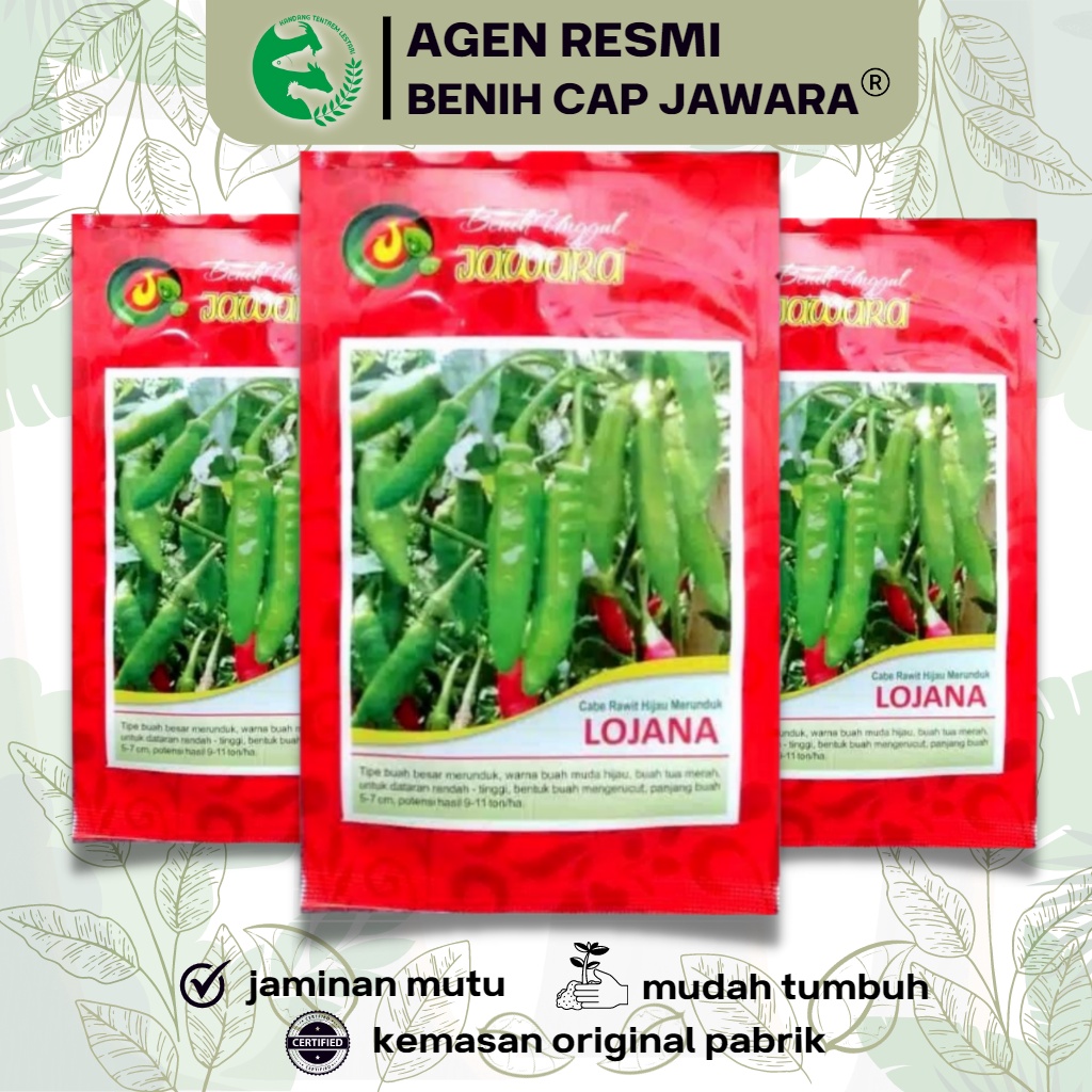 10 gram Benih Cabe Rawit Hijau LOJANA Kemasan Asli JAWARA