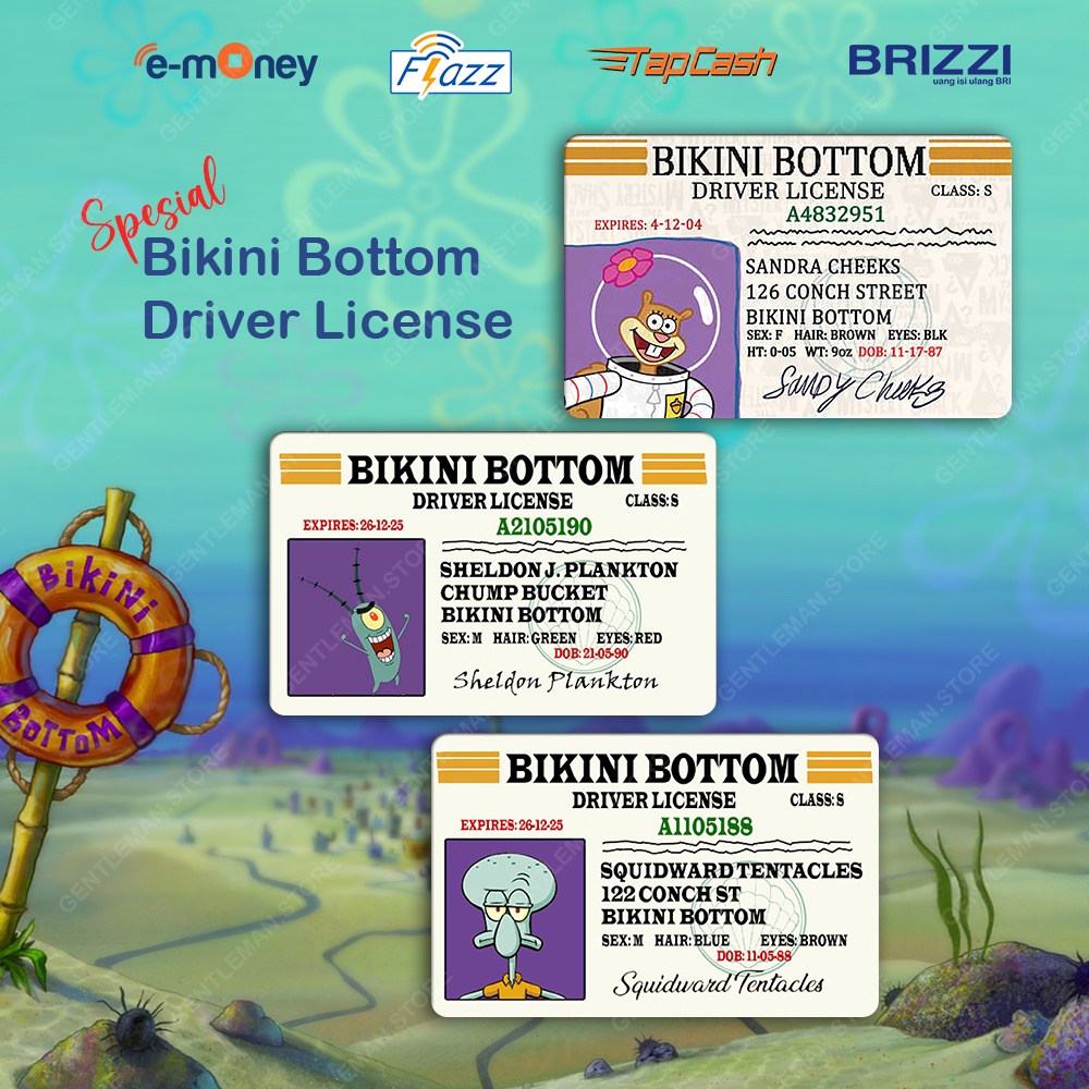 KARTU E MONEY E TOLL BRIZZI BRI FLAZZ BCA GEN 2 E MONEY MANDIRI TAPCASH BNI SERI BIKINI BOTTOM DRIVER LICENSE