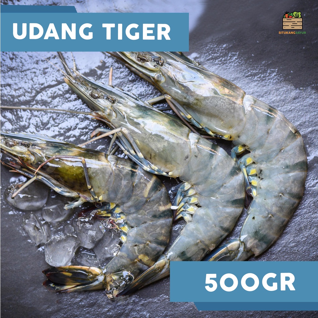 

Udang Windu / Tiger | 500gr (Kota Bandung & Sekitar)