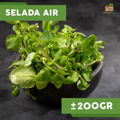 

Sayur Selada Air | 200gr (Kota Bandung & Sekitar)