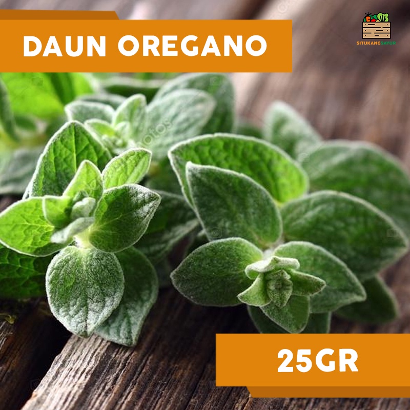 

Daun Oregano | 25gr (Kota Bandung & Sekitar)