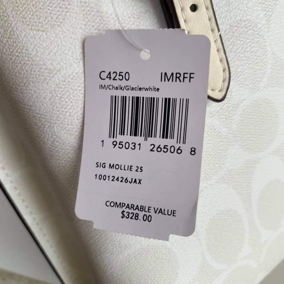 CA142 C4086 C4084 C4085 C4250 CH228 C8612 Coach Women Bag Mollie Tote 25 Mini Tote Heart and Flower Print Shoulder Bag