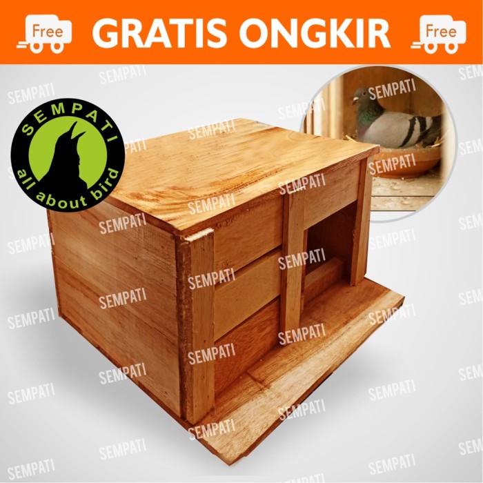 Terlaris (0_0) Kandang Tong Gupon Pagupon Burung Merpati Doro Dara Kolongan