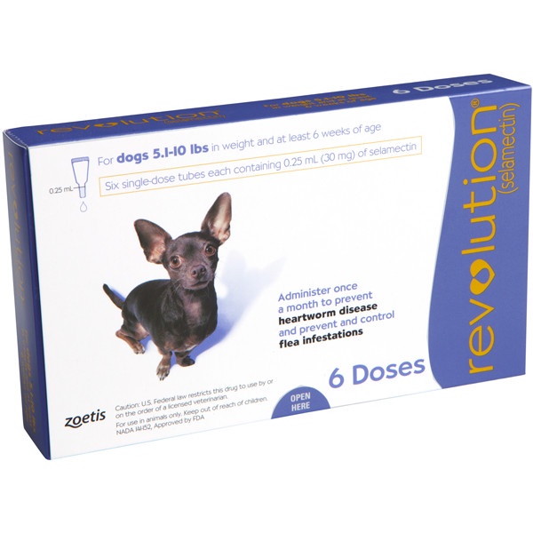 Terlaris Revolution Cat / Revolution Dog / Revolution Teal / Revolution Blue