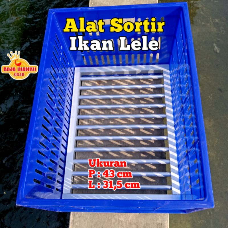 Alat Sortir Lele Seritan Ikan Lele Bahan Alumunium - Pengganti Bak/Ember Sortir Ikan Lele.