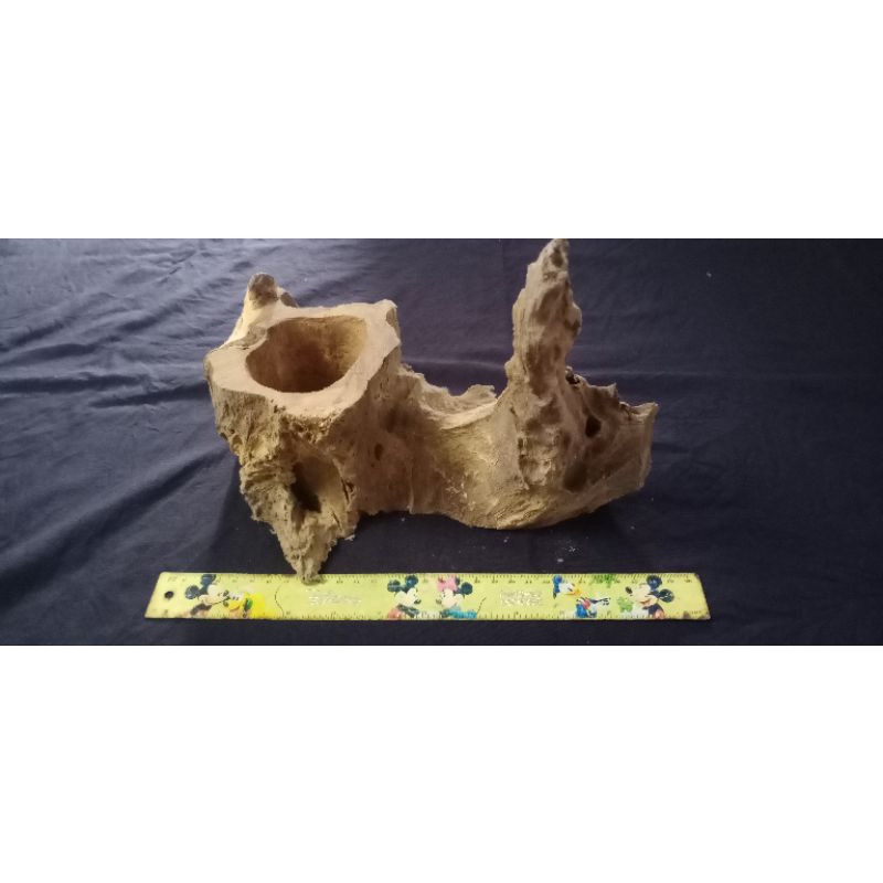 pot kayu unik , pot kayu erosi , pot kayu unik , pot tilandsia , pot anggrek ,media tanam anggrek , 