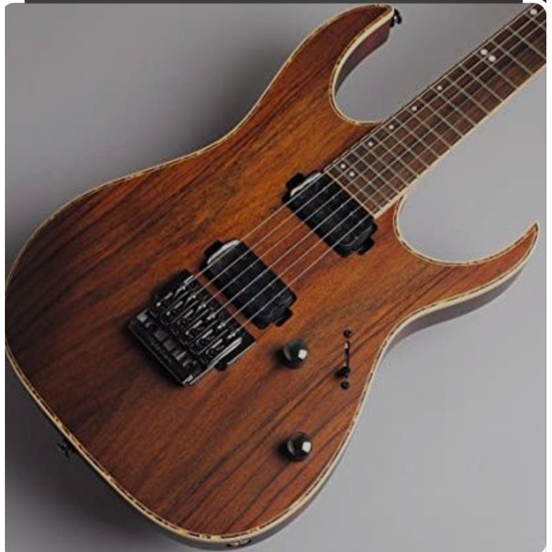 Ibanez Guitar RG series