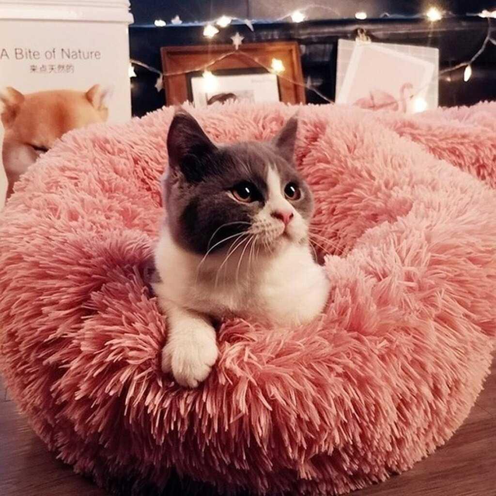 Hachikitty Karpet Matras Hewan Kucing Cat Plush Kennel CFB34 Tempat Tidur Anjing Tempat Tidur Anjing Tempat Makan Anjing Tempat Makan Anjing Peralatan Anjing Peralatan Anjing Peralatan Mandi Kucing Peralatan Mandi Kucing Harnes Anjing Harnes Anjing Perala