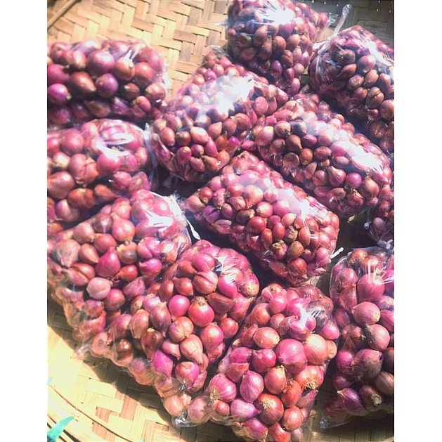 

bawang merah nganjuk