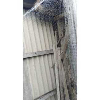 Limited Jaring Ikan Siap Pakai ~ Panjang 10 M